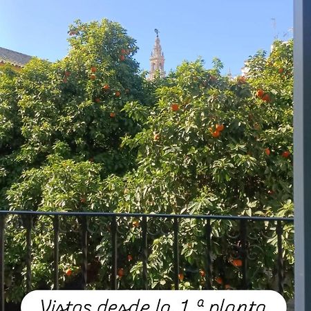 Apartamentos En La Plaza Dona Elvira, 7 Seville Luaran gambar