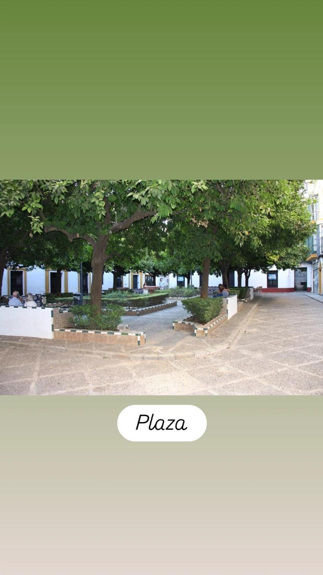 Apartamentos En La Plaza Dona Elvira, 7 Seville Luaran gambar